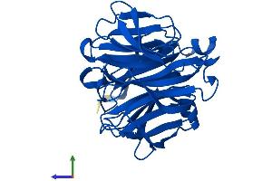 Protein Structure (PS) image for Regucalcin (RGN) (AA 1-299) protein (His tag) (ABIN7551305)