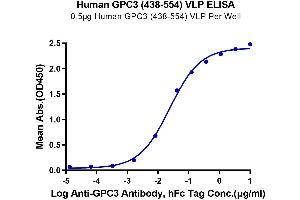 Immobilized Human GPC3 (438-554) VLP at 5 μg/mL (100 μL/Well) on the plate. (Glypican 3 Protein-VLP (GPC3) (AA 438-554))