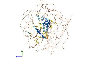 AlphaFold protein structure predicition of Mouse Recombinant Cep170b Protein, UniprotID Q80U49