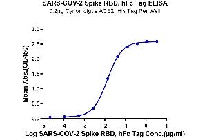 ELISA image for SARS-CoV-2 Spike (RBD) protein (Fc Tag) (ABIN7274395)