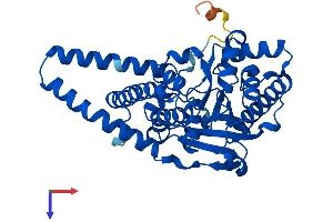 AGPAT3 Protein (AA 1-376) (His tag)