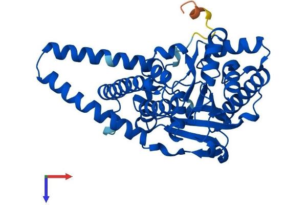 AGPAT3 Protein (AA 1-376) (His tag)
