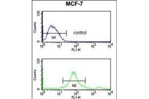 SUMO1 Antibody f flow cytometry analysis of MCF-7 cells (bottom histogram) compared to a negative control cell (top histogram). (SUMO1 Antikörper)