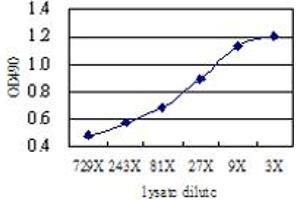 Sandwich ELISA detection sensitivity ranging from approximately 729x to 3x dilution of the ACY1 293T overexpression lysate (non-denatured).
