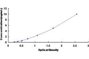 ELISA image for 3-hydroxybutyrate Dehydrogenase, Type 1 (BDH1) ELISA Kit (ABIN6953356)