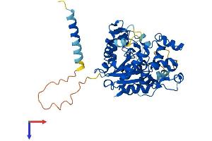 CHST1 Protein (AA 1-411) (His tag)