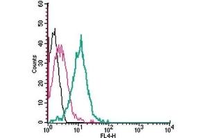 Cell surface detection of nAChRα7 in live intact human Jurkat T cell leukemia cell line: (black line) Cells alone.