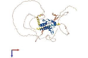 N4BP2L2 Protein (AA 1-575) (His tag)