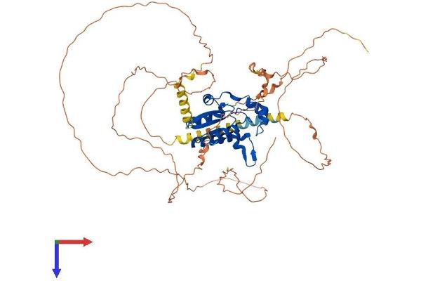 N4BP2L2 Protein (AA 1-575) (His tag)