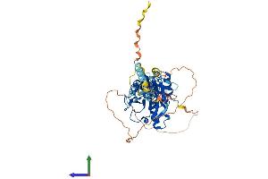 Protein Structure (PS) image for Interferon Regulatory Factor 6 (IRF6) (AA 1-467) protein (His tag) (ABIN7548570)