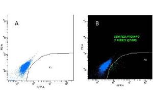 Mouse monoclonal Anti-GFP antibody is able to detect positive cell population in cytoflow analysis. (GFP Antikörper  (GFP tag))