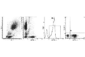 Image no. 1 for anti-CD7 (CD7) antibody (FITC) (ABIN1106542) (CD7 Antikörper  (FITC))