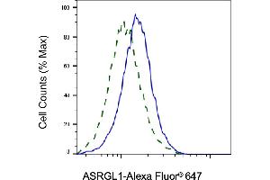 Validation of ASRGL1 knockdown using flow cytometry. (ASRGL1 Antikörper)