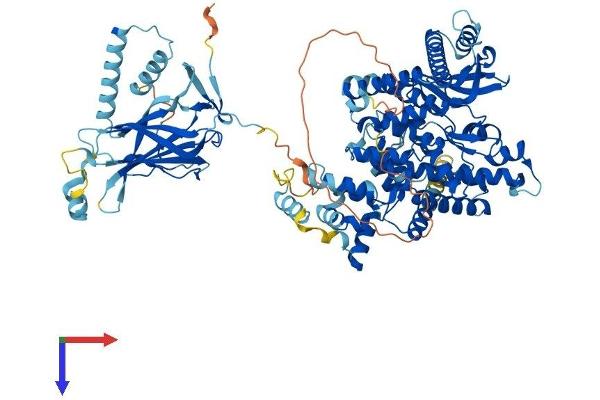 PIK3C3 Protein (AA 1-887) (His tag)