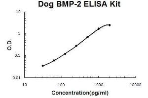Dog BMP-2 PicoKine ELISA Kit standard curve