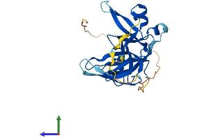 AlphaFold protein structure predicition of Human Recombinant SPIN4 Protein, UniprotID Q56A73
