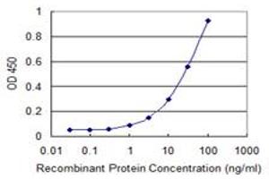 Detection limit for recombinant GST tagged STARD3 is 0. (STARD3 Antikörper  (AA 1-445))