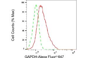 Flow cytometric analysis of GAPDH expression in HepG2 cells using GAPDH antibody (ABIN7798767), 1:2,000).