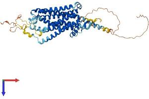 GPR39 Protein (AA 1-453) (His tag)