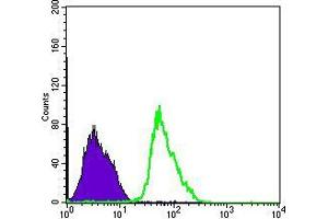 Flow cytometric analysis of PC-2 cells using PRKAA1 mouse mAb (green) and negative control (purple). (PRKAA1 Antikörper)