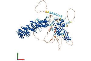 AlphaFold protein structure predicition of Human Recombinant USP38 Protein, UniprotID Q8NB14