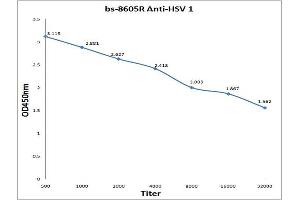 Antigen: 0. (Herpes Simplex Virus Type 1 (HSV1) Antikörper)