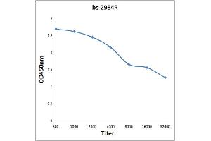 Phospholamban Antikörper  (pSer16)