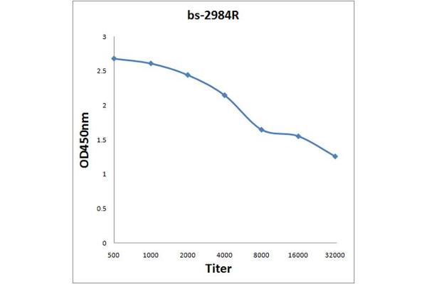 Phospholamban Antikörper  (pSer16)