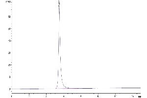 Size-exclusion chromatography-High Pressure Liquid Chromatography (SEC-HPLC) image for Signal-Regulatory Protein alpha (SIRPA) (AA 31-370) protein (Fc Tag) (ABIN7275654)