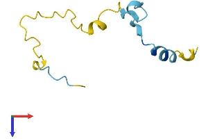 CAMK2N2 Protein (AA 1-79) (Fc Tag)