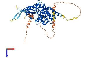 AlphaFold protein structure predicition of Human Recombinant STK40 Protein, UniprotID Q8N2I9 (STK40 Protein (AA 1-435) (His tag))