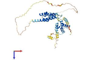 ZCCHC12 Protein (AA 1-402) (His tag)
