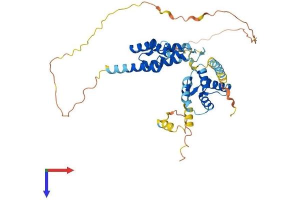 ZCCHC12 Protein (AA 1-402) (His tag)