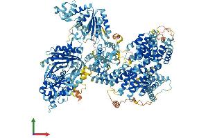 Protein Structure (PS) image for Adenylate Cyclase 10 (Soluble) (ADCY10) (AA 1-1614) protein (His tag) (ABIN7564488)