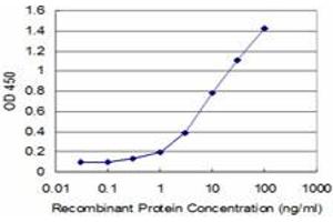 ELISA image for anti-Lymphoid Enhancer-Binding Factor 1 (LEF1) (AA 33-138) antibody (ABIN526529)