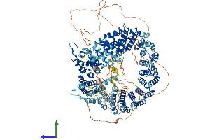 Protein Structure (PS) image for Splicing Factor 3b, Subunit 1, 155kDa (SF3B1) (AA 1-1304) protein (His tag) (ABIN7564916)