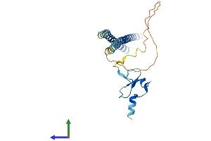 AlphaFold protein structure predicition of Mouse Recombinant Ing5 Protein, UniprotID Q9D8Y8 (ING5 Protein (AA 1-240) (His tag))