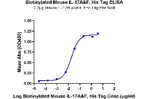 ELISA image for Interleukin-17 A/F Heterodimer (IL-17A/F) (AA 26-158) protein (His-Avi Tag,Biotin) (ABIN7274969)