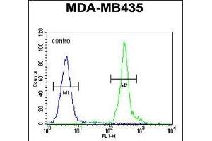 GFRAL Antibody (C-term) ABIN655021 flow cytometric analysis of MDA-M cells (right histogram) compared to a negative control (Rabbit IgG isotype) (left histogram). (GFRAL Antikörper  (C-Term))