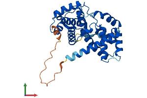 Protein Structure (PS) image for Cyclin D3 (CCND3) (AA 1-292) protein (His tag) (ABIN7563083)