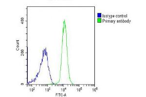 Overlay histogram showing K562 cells stained with Antibody (green line). (PIGC Antikörper  (AA 264-294))