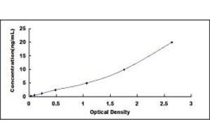 Typical standard curve (BMPR1B ELISA Kit)