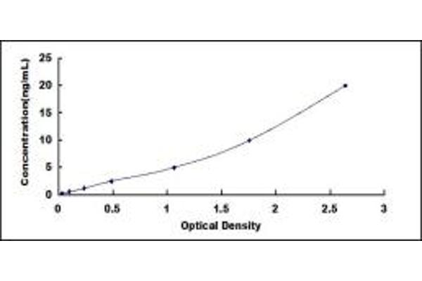 BMPR1B ELISA Kit