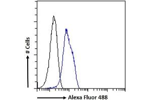 (ABIN334488) Flow cytometric analysis of paraformaldehyde fixed U2OS cells (blue line), permeabilized with 0.