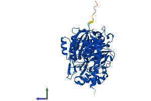 Protein Structure (PS) image for FGGY Carbohydrate Kinase Domain Containing (FGGY) (AA 1-551) protein (His tag) (ABIN7547607)