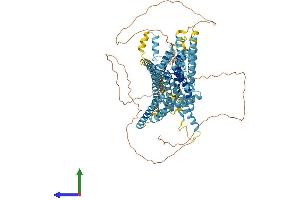 Protein Structure (PS) image for Transmembrane Channel-Like 2 (Tmc2) (AA 1-888) protein (His tag) (ABIN7559764)