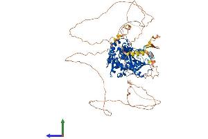 Protein Structure (PS) image for DENN/MADD Domain Containing 1C (DENND1C) (AA 1-801) protein (His tag) (ABIN7553634)