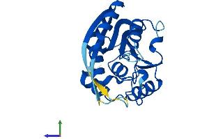 AlphaFold protein structure predicition of Human Recombinant METTL5 Protein, UniprotID Q9NRN9