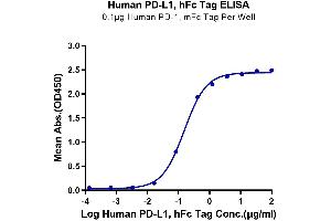 Immobilized Human PD-1, mFc Tag at 1 μg/mL (100 μL/well) on the plate. (PD-L1 Protein (AA 19-238) (Fc Tag))