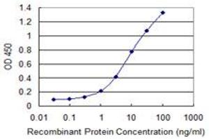 Detection limit for recombinant GST tagged ETV4 is 0. (ETV4 Antikörper  (AA 1-207))